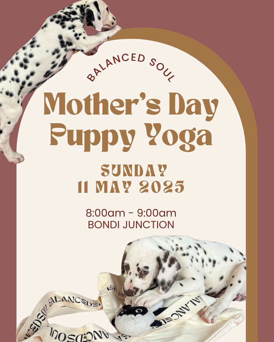 BALANCED SOUL X PUPPY YOGA - Mother‘s Day event 11/05